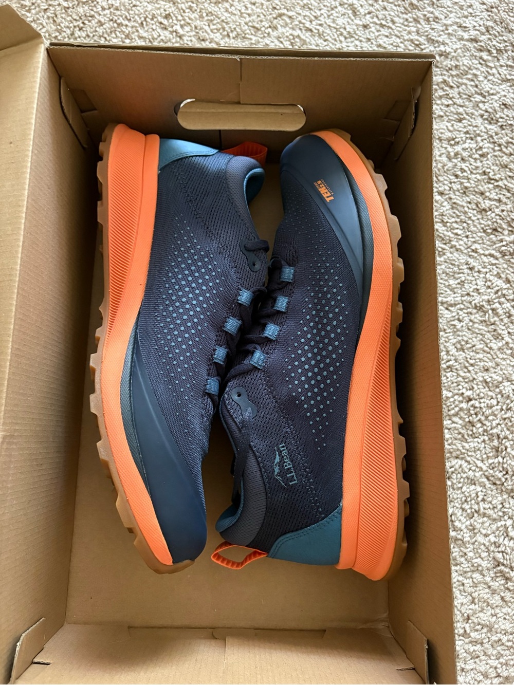 L.L. Bean Men’s Elevation Waterproof Hiking Shoes
